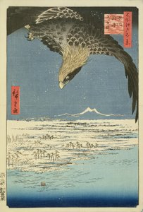 Adler über 100.000 Morgen Ebene bei Susaki, Fukagawa (